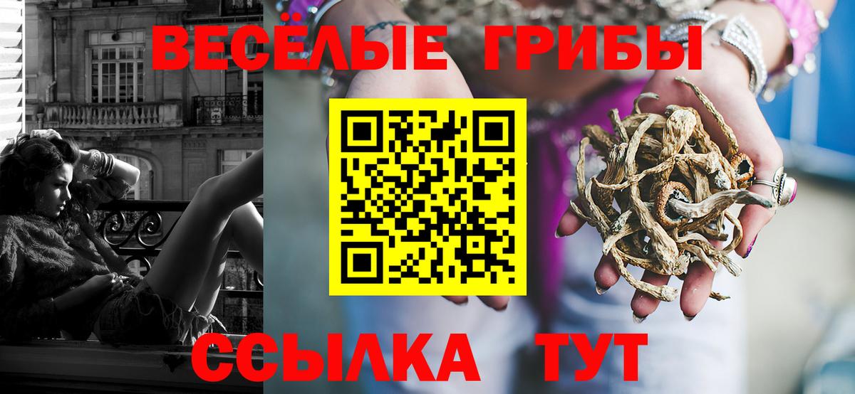 Галлюциногенные грибы мицелий  Вход с VPN  Псилоцибиновые грибы Psilocybine cubensis  Советский 
